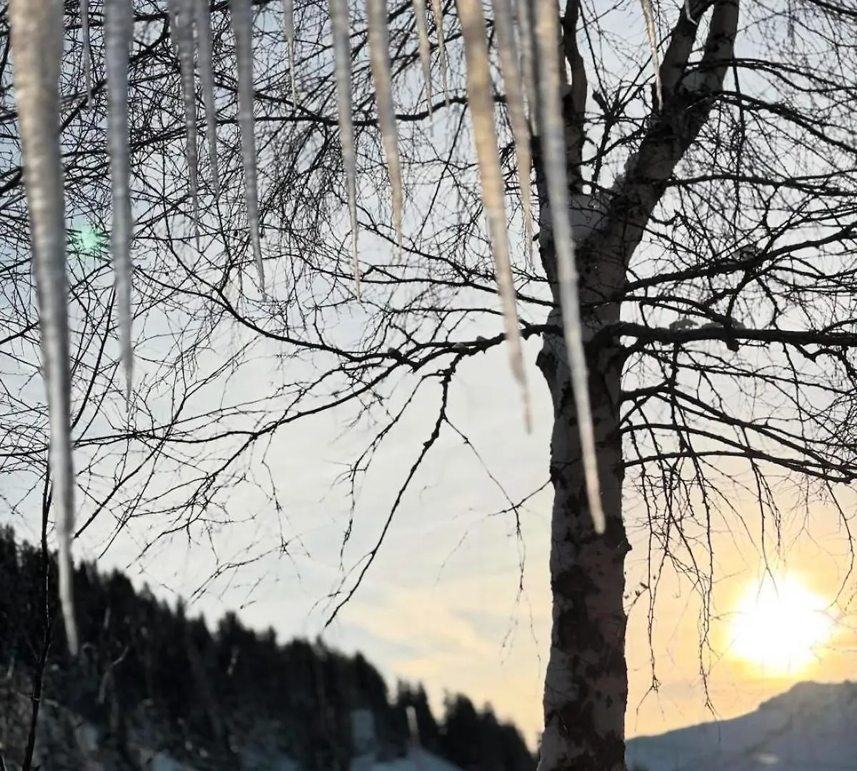 Chalet Cortena 